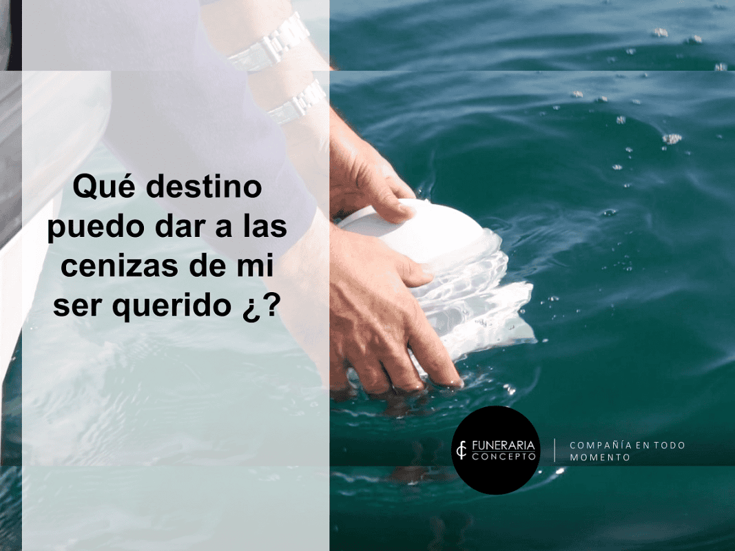 Que destino puedo dar a las ceniza?